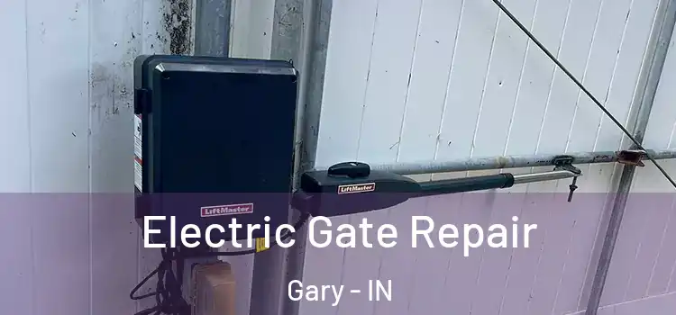 Electric Gate Repair Gary - IN