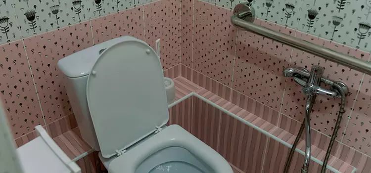 Meeting Diverse Needs With Accessible Restroom Solutions in Gary, IN