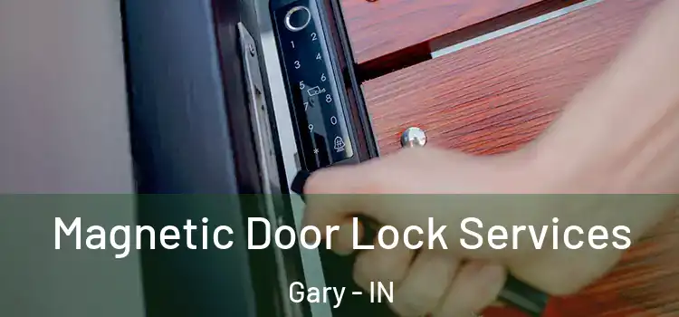 Magnetic Door Lock Services Gary - IN